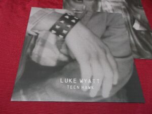 Luke Wyatt:   Teen Hawk   2013  EX+   LP