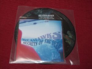Seahawks:   High Tides  Near Mint very ltd  7" Picture Disc + CDr