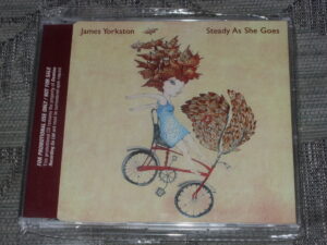 James Yorkston:  Steady as she goes   CD Single two track promo  NM 