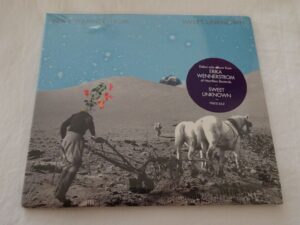 Erika Wennerstrom:   Sweet Unknown  NEW SEALED CD