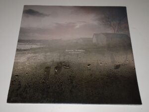 Joshua Trinidad:   In November    MINT SEALED  LP