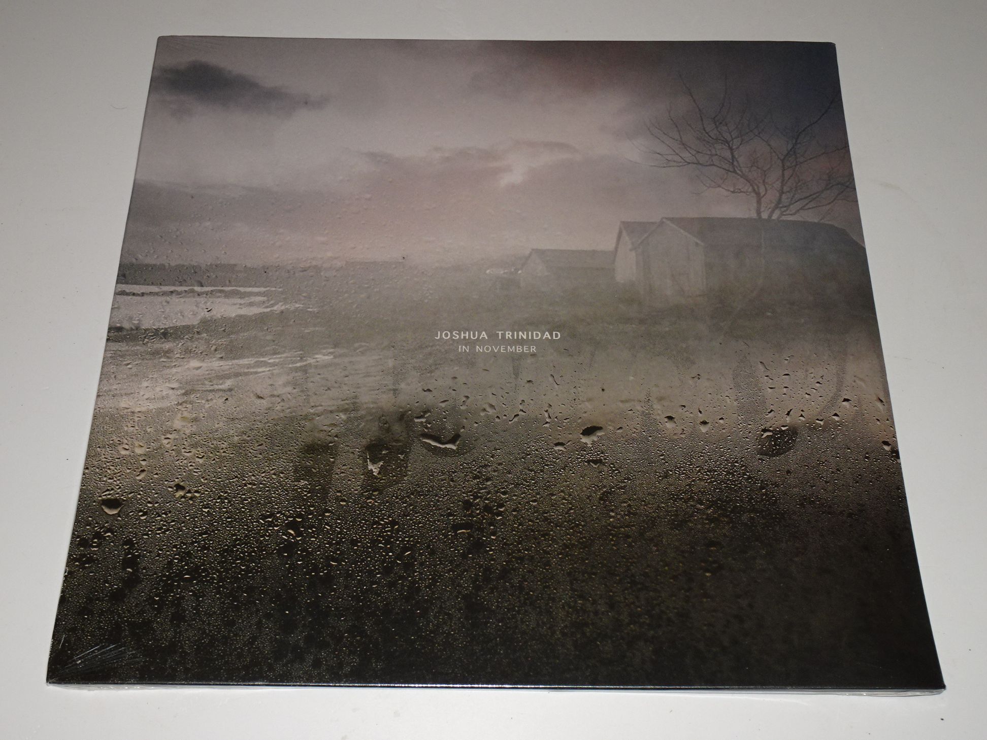 Joshua Trinidad: In November MINT SEALED LP - Image 3