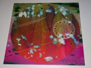 SHIBUYA STATION: Always Waiting NEW ltd 10" Polytechnic Youth