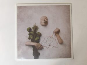 red steppes:   A Mouth May Grow  NEW SEALED  LP