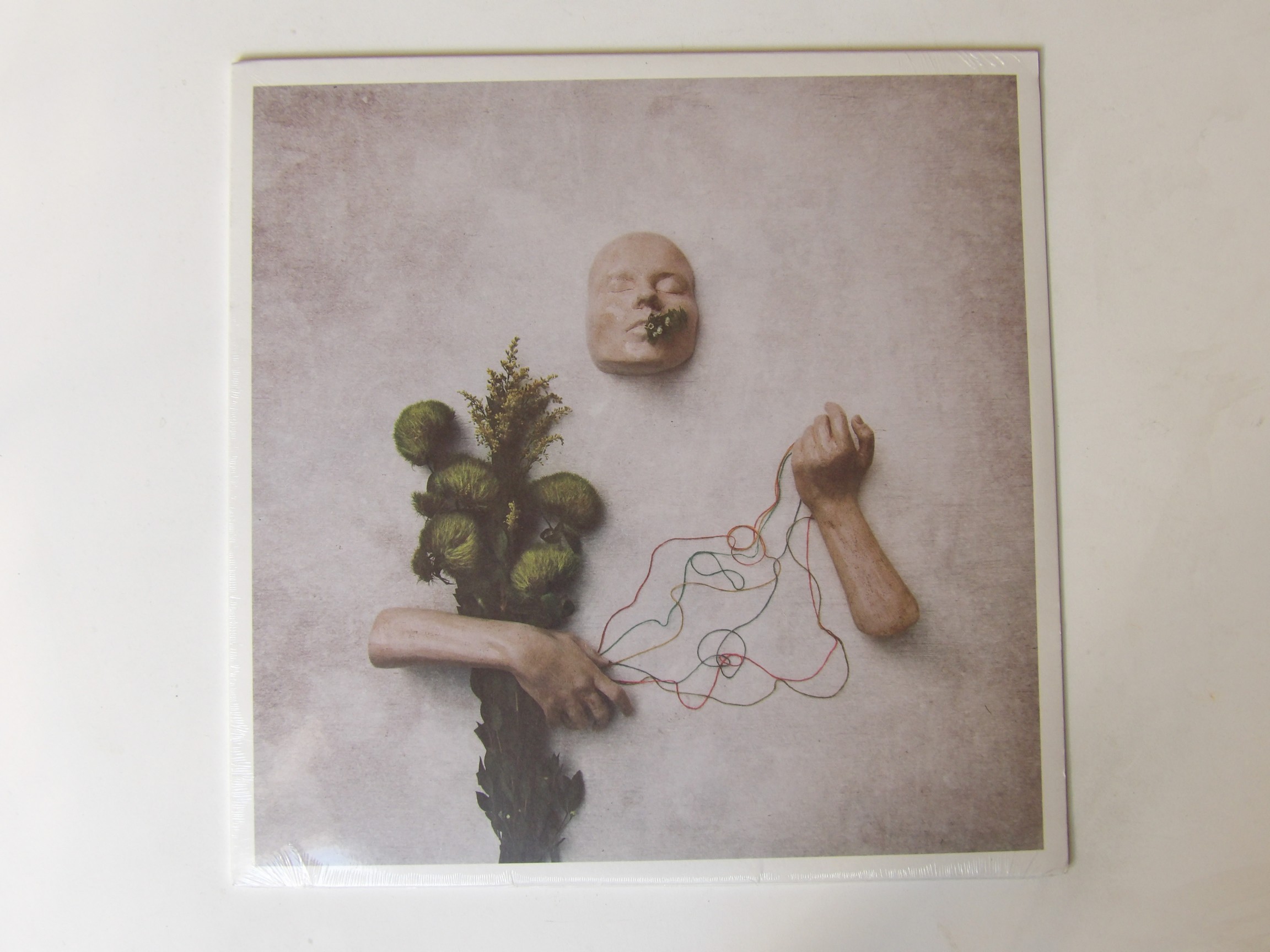 red steppes: A Mouth May Grow NEW SEALED LP - Image 3