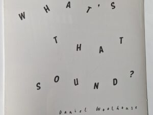 Daniel Woolhouse:  What's That Sound?  NEW SEALED  LP