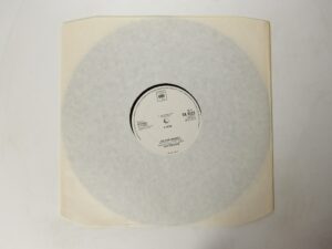 The Groove:   Do For Money    1984   Promo   12"