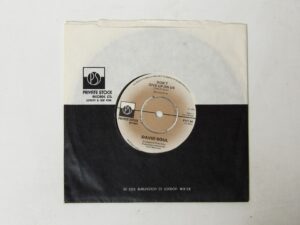David Soul:   Don't Give Up on Us  1976  EX+   7"