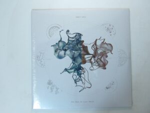 Robot Koch:  The Next Billion Years 2020 German Double  LP NEW SEALED