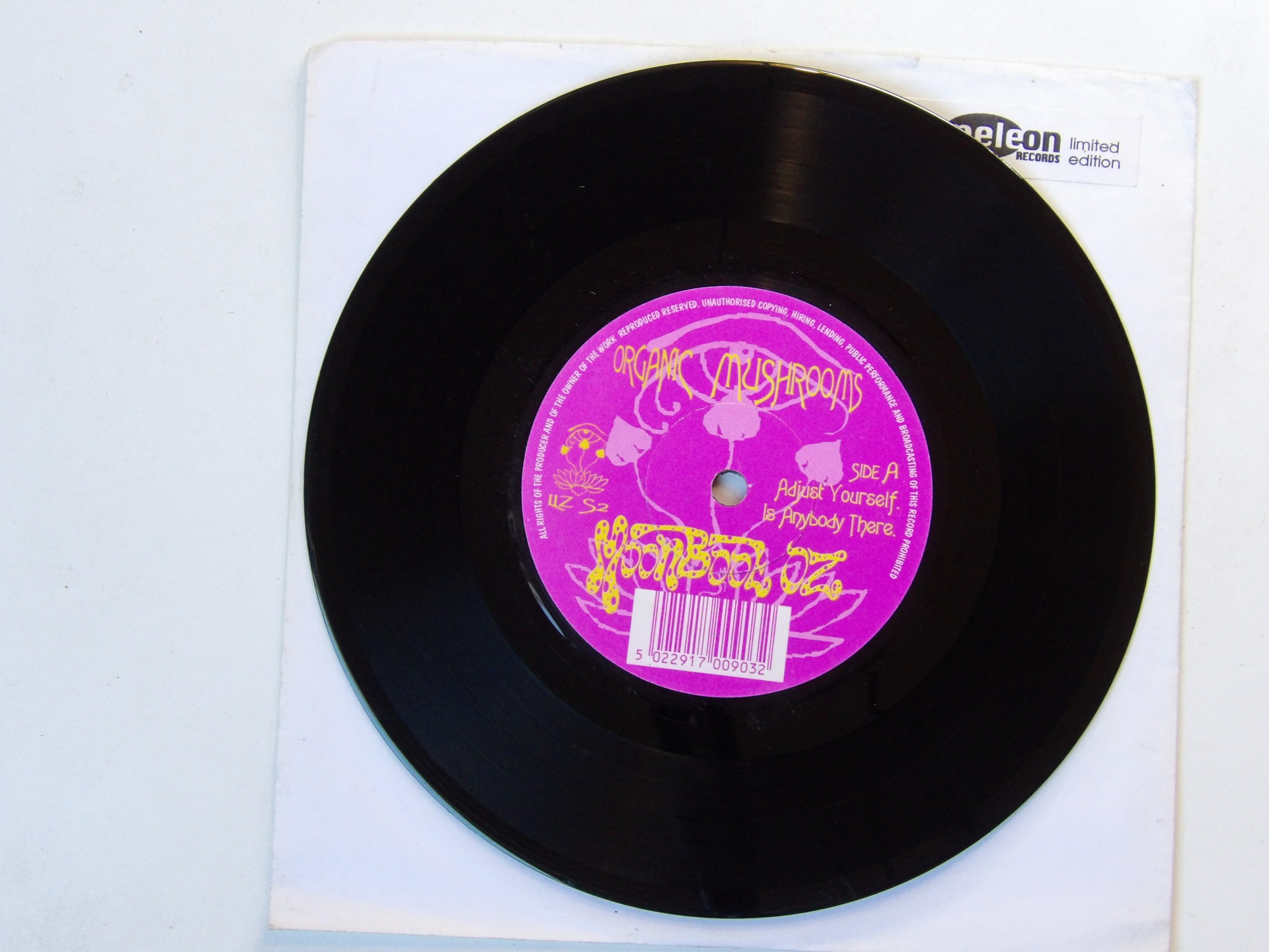 Moonboot Oz: Organic Mushrooms 1995 EX 7" Magic Mushroom Band