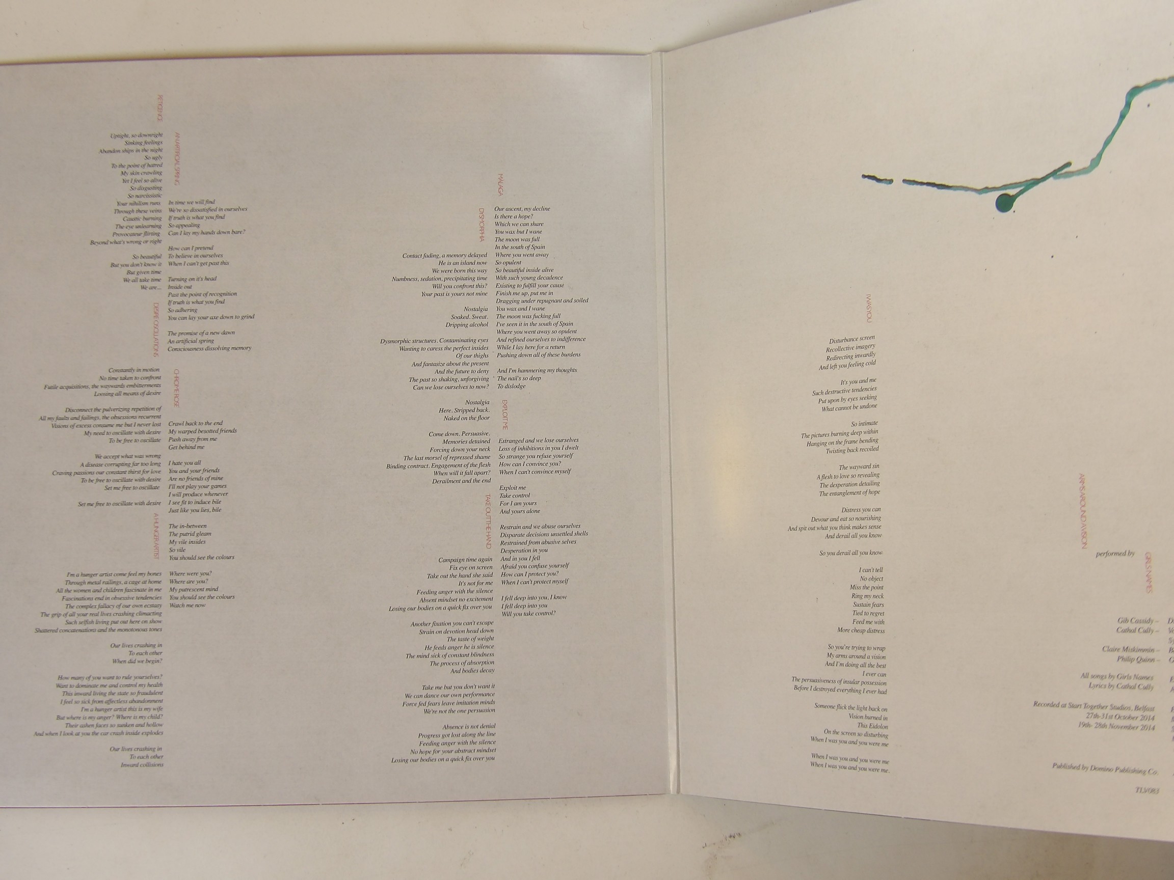 Girls Names: Arms Around A Vision UK 2015 NEAR MINT LP - Image 5