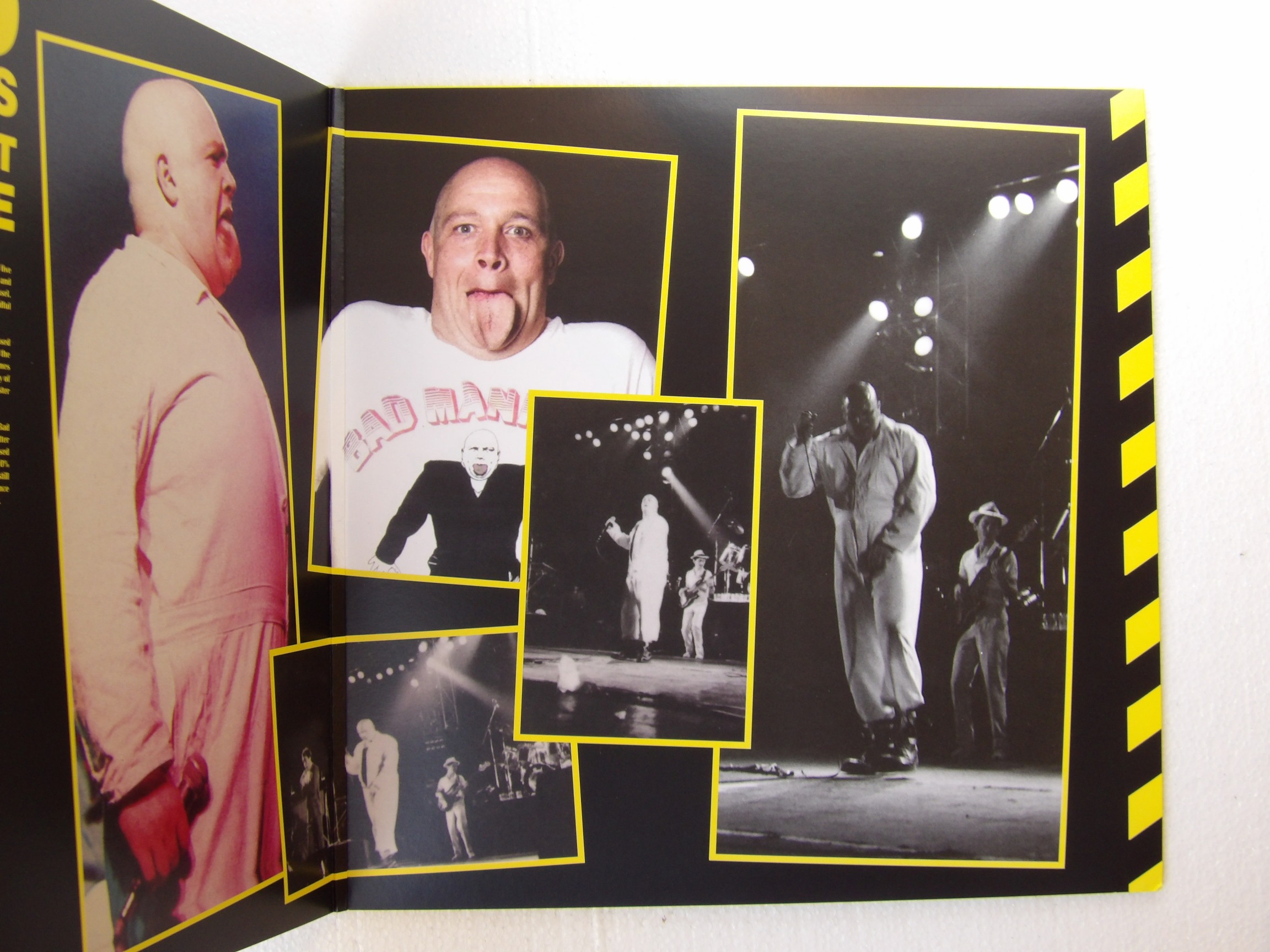Bad Manners: Greatest Hits Live 2022 EX+ CLEAR VINYL LP - Image 5