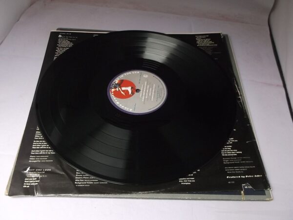 Linda Ronstadt: Living in the USA 1978 CANADIAN PRESSING EX+ LP - Image 8